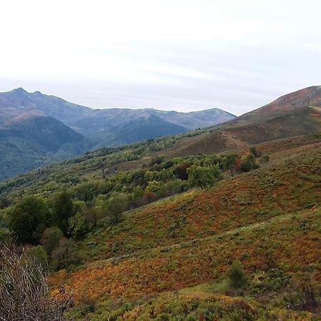 Grange En Pierres. Grand Jardin Et Belle Vue Βίλα Saurat Εξωτερικό φωτογραφία