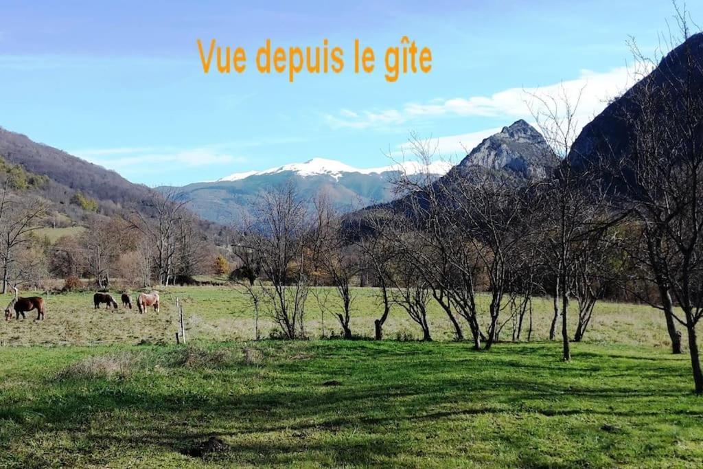 Grange En Pierres. Grand Jardin Et Belle Vue Βίλα Saurat Εξωτερικό φωτογραφία