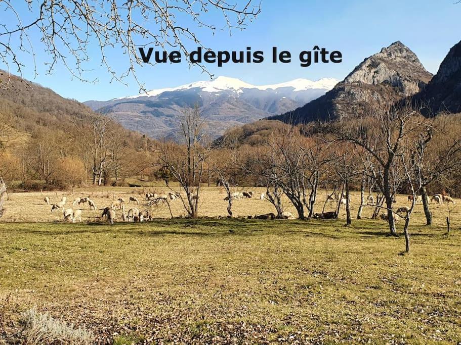 Grange En Pierres. Grand Jardin Et Belle Vue Βίλα Saurat Εξωτερικό φωτογραφία