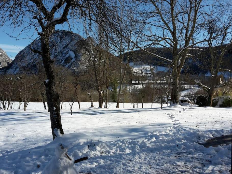 Grange En Pierres. Grand Jardin Et Belle Vue Βίλα Saurat Εξωτερικό φωτογραφία